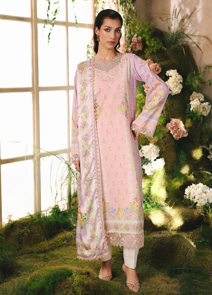 Silah by RajBari Embroidered Raw Silk Suits Unstitched 3 Piece RB25SE D-07 - Festive Collection