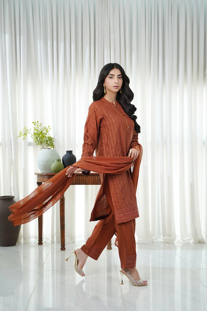 Dhaga Women Pret Embroidered 2 Piece Chikankari Amal SS25DSEAMAL - Summer Collection