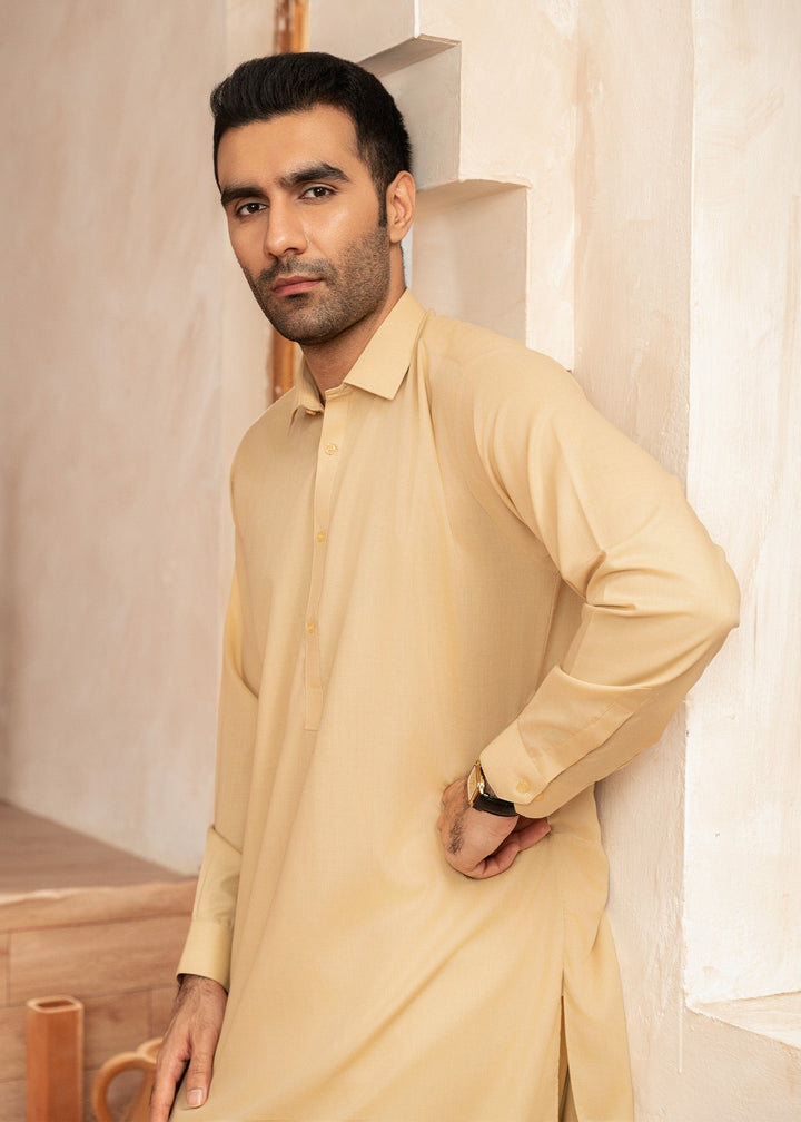 Alif by Buraq Mens RTW Solids Wash N Wear 2 Piece Suit Skin Collared Casual Collection