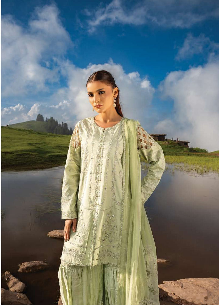 Dastaan by Zebtan Unstitched Embroidered Tassal Silk 3 Piece Suit ZB26UD DZ-05 - Festive Collection