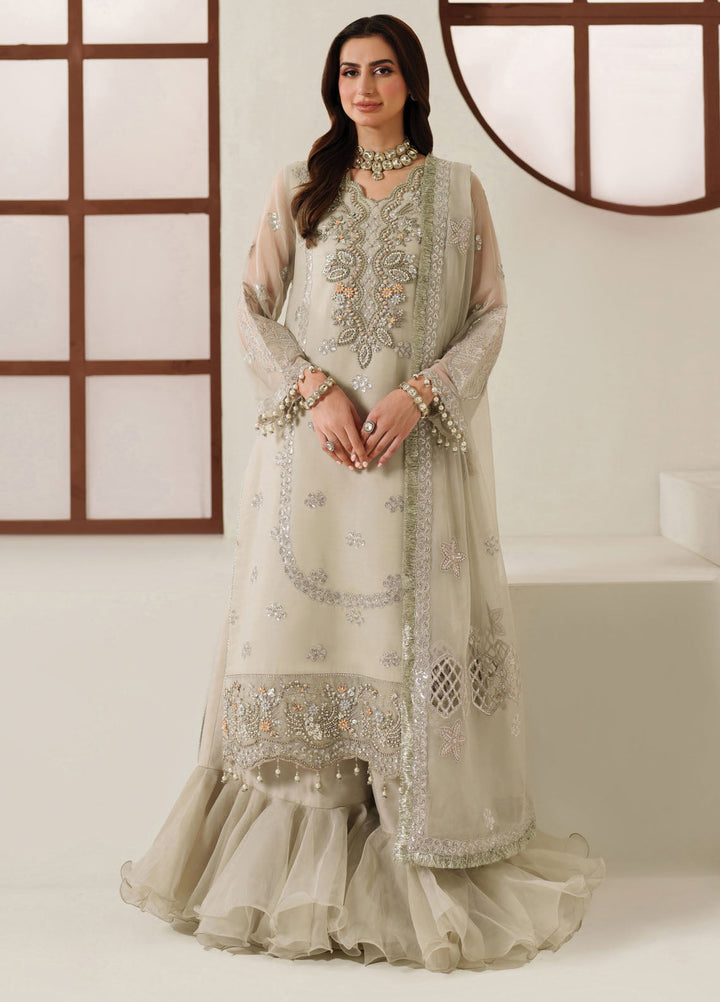 Reena by Alizeh Fashion Embroidered Chiffon Suits Unstitched 3 Piece AFB25RW HM-4048 Nashmia - Wedding Collection