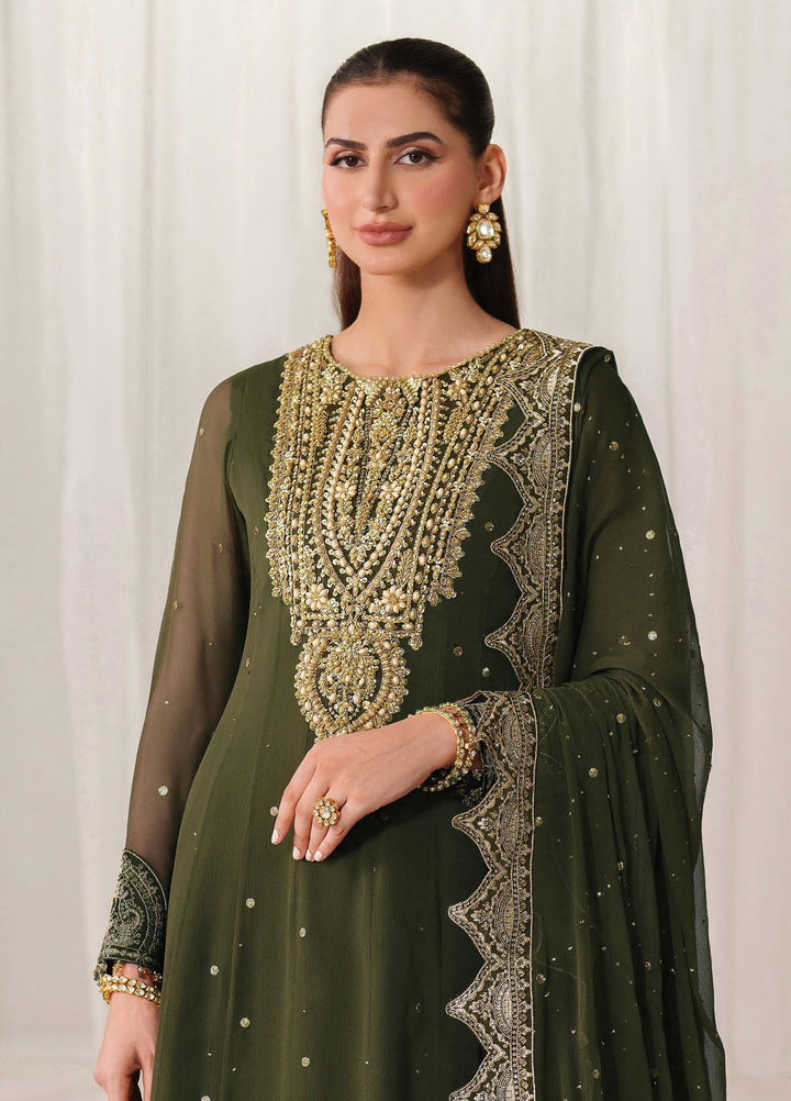 Reena by Alizeh Fashion Embroidered Chiffon Suits Unstitched 3 Piece AFB25RW HM-4051 Rekha - Wedding Collection