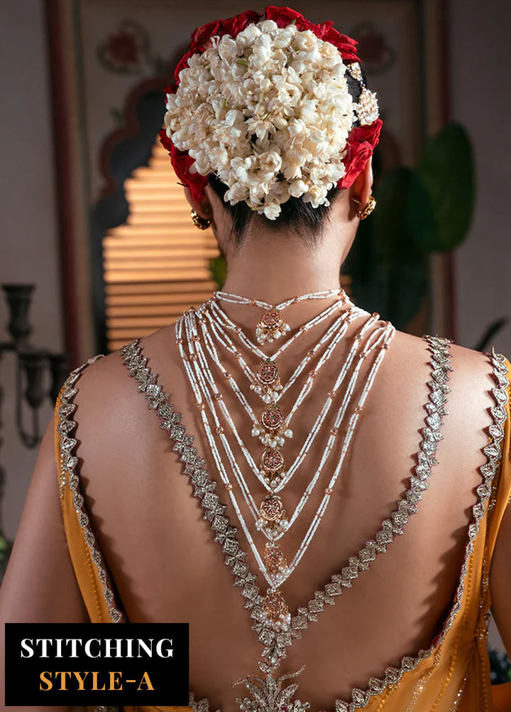 Noor e Naaz by Imrozia  Embroidered Net 3 Piece Suit IB-55 Roshni