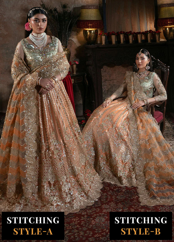 Noor e Naaz by Imrozia  Embroidered Net 3 Piece Suit IB-56 Sitarah