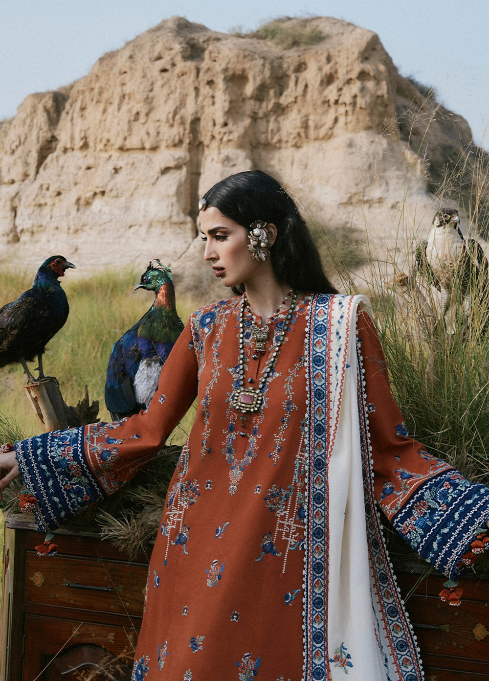 Radha Kishan by Hussain Rehar Unstitched Embroidered Karandi 3 Piece Suit NOORI - Winter Collection