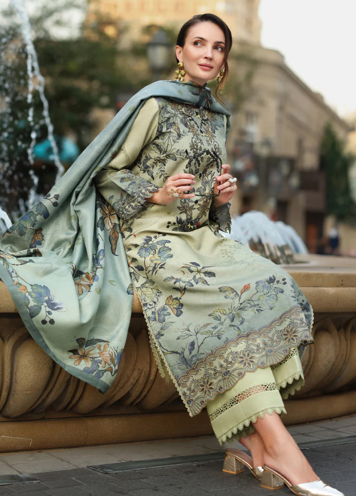 Lifestyle by Rang Rasiya Unstitched Embroidered Linen Suits 3 Piece RR25LW D-09 Autumn - Winter Collection