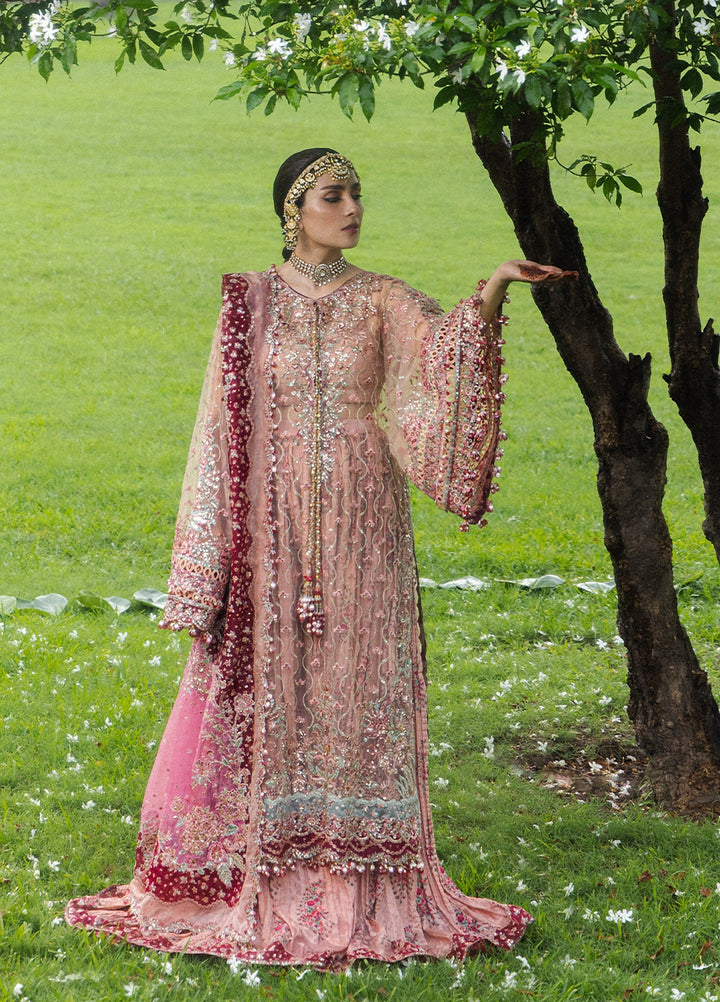 The Doll House by Hussain Rehar Unstitched Embroidered Net 3 Piece Suit HR26UDH Gulrukh D-855 - Wedding Collection