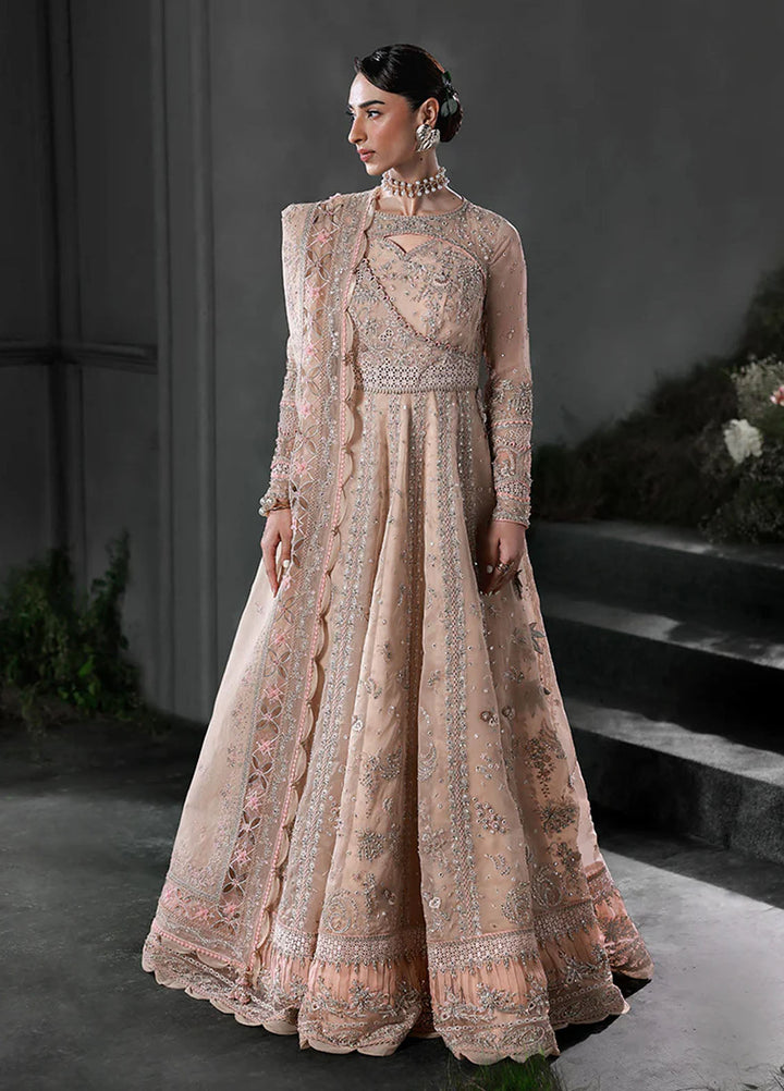 Elirah by Qalamkar Embroidered Organza Suits Unstitched 3 Piece QLM25EF MF-01 Lustra - Formals Collection