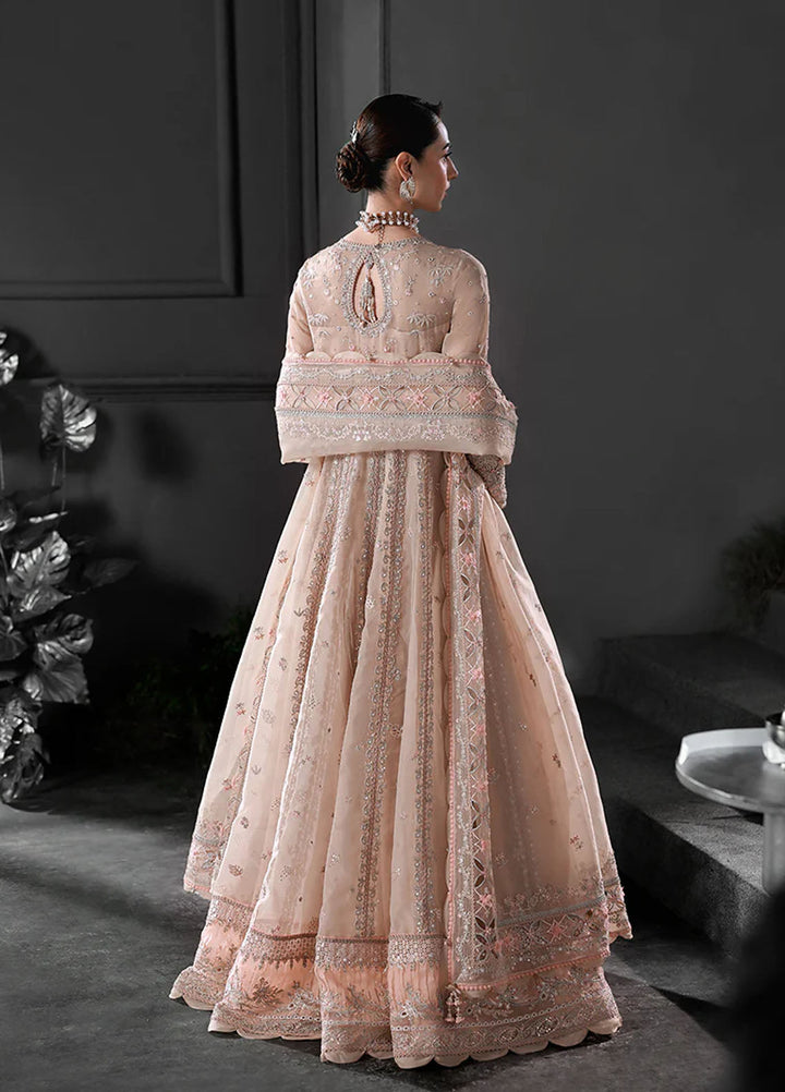 Elirah by Qalamkar Embroidered Organza Suits Unstitched 3 Piece QLM25EF MF-01 Lustra - Formals Collection