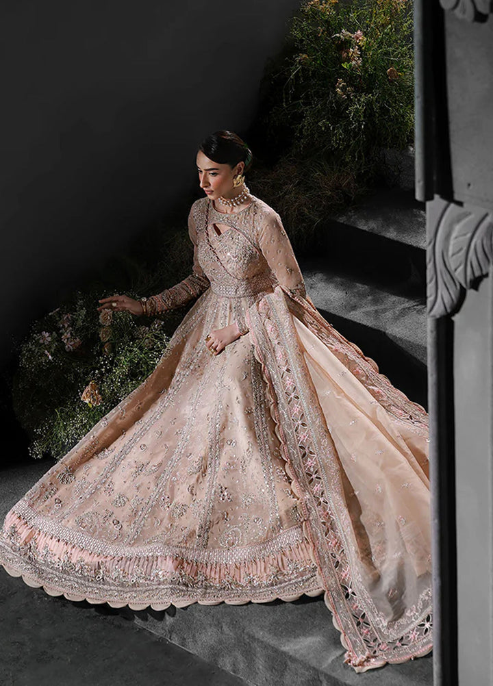 Elirah by Qalamkar Embroidered Organza Suits Unstitched 3 Piece QLM25EF MF-01 Lustra - Formals Collection