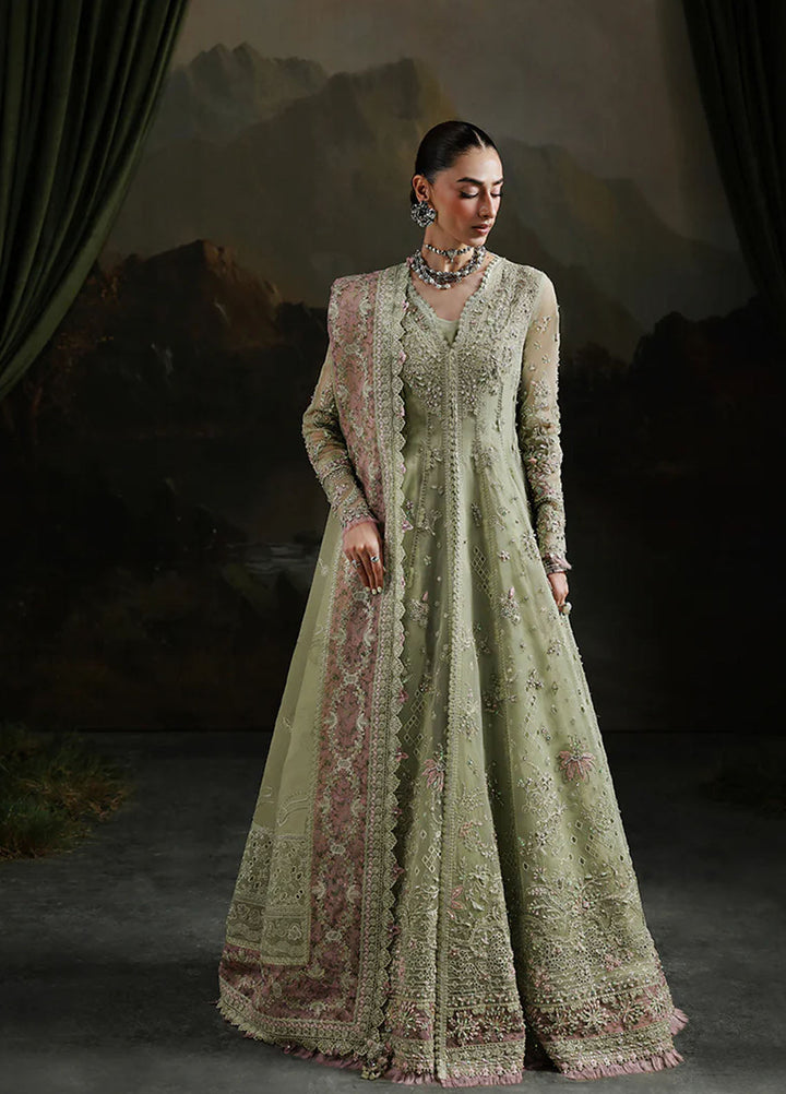 Elirah by Qalamkar Embroidered Organza Suits Unstitched 3 Piece QLM25EF MF-02 Sage Aura - Formals Collection