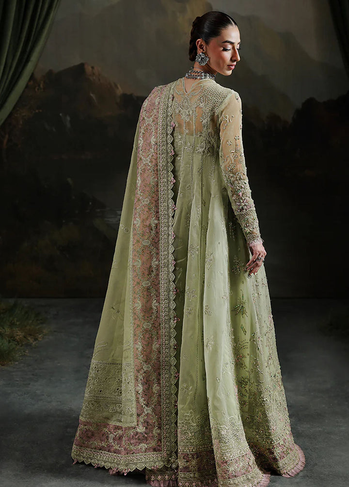 Elirah by Qalamkar Embroidered Organza Suits Unstitched 3 Piece QLM25EF MF-02 Sage Aura - Formals Collection