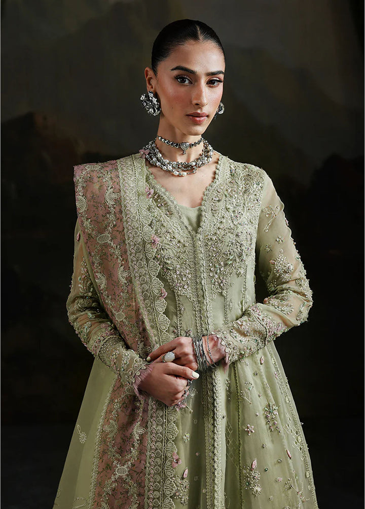 Elirah by Qalamkar Embroidered Organza Suits Unstitched 3 Piece QLM25EF MF-02 Sage Aura - Formals Collection
