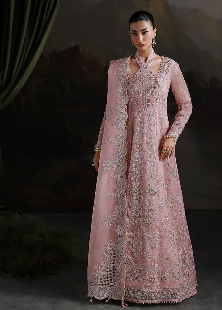 Elirah by Qalamkar Embroidered Organza Suits Unstitched 3 Piece QLM25EF MF-03 Blush - Formals Collection