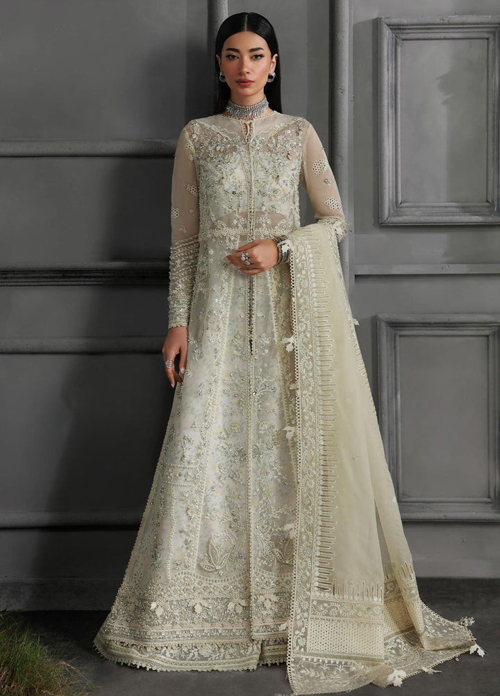 Elirah by Qalamkar Embroidered Organza Suits Unstitched 3 Piece QLM25EF MF-06 Ivara - Formals Collection
