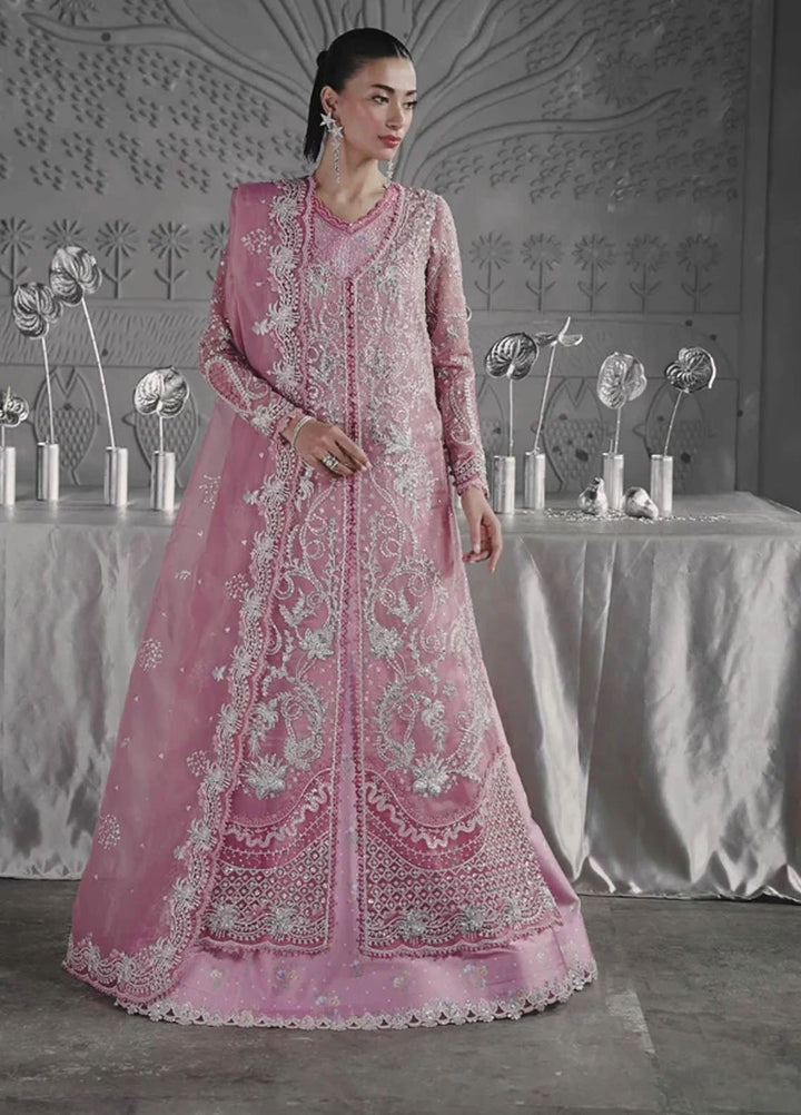 Elirah by Qalamkar Embroidered Organza Suits Unstitched 3 Piece QLM25EF MF-07 Rosalyn - Formals Collection