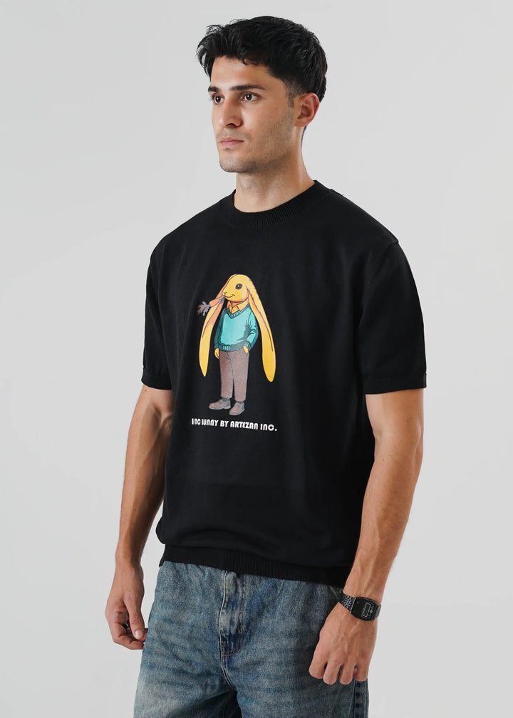 Artezan Inc RTW Solids Cotton T-Shirt Bunny Knit Casual Collection