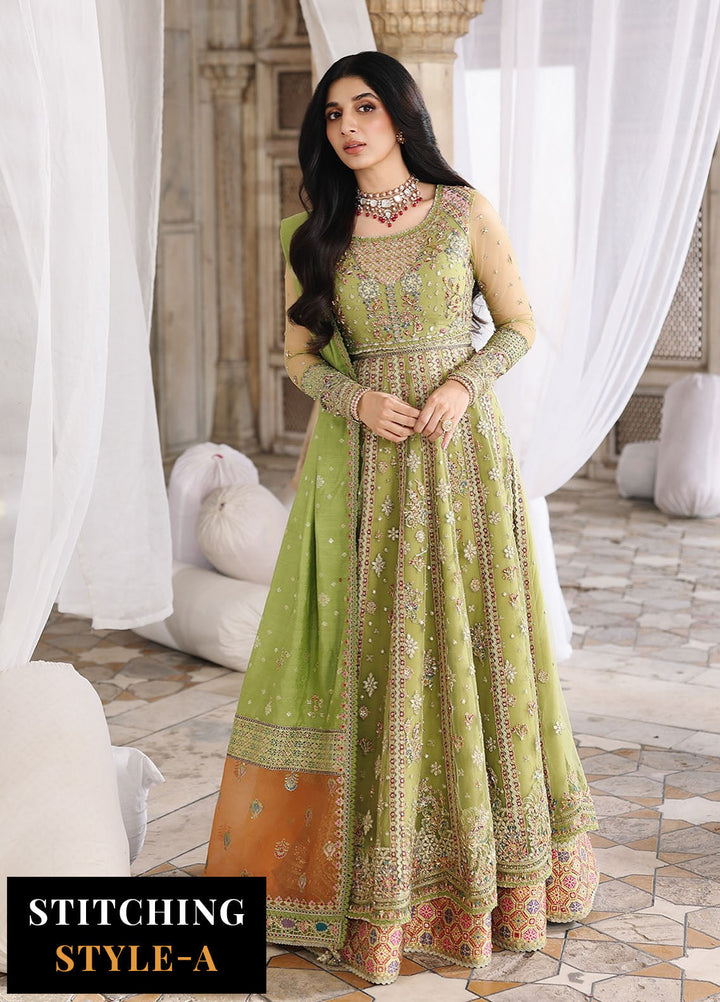 Shadmani by Qalamkar Embroidered Net Suits Unstitched 3 Piece QLM25SW RH-03 Gulnara - Wedding Collection