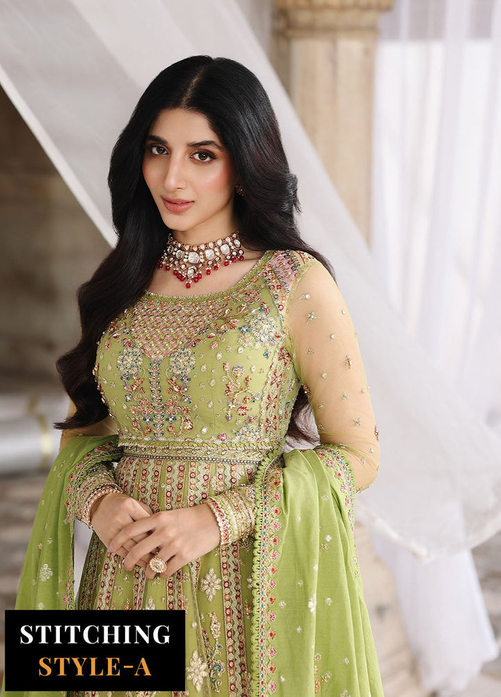 Shadmani by Qalamkar Embroidered Net Suits Unstitched 3 Piece QLM25SW RH-03 Gulnara - Wedding Collection