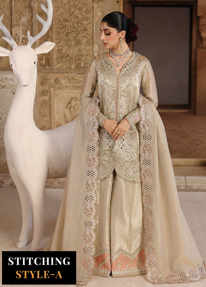 Shadmani by Qalamkar Embroidered Zari Tissue Suits Unstitched 3 Piece QLM25SW RH-07 Ameera - Wedding Collection