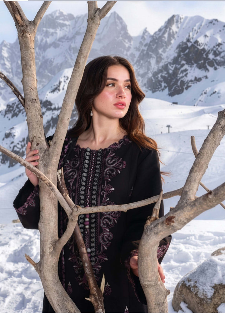 Carnation by Rang Rasiya Unstitched Embroidered Karandi 3 Piece Suit RR26UKW ONYX - Winter Collection