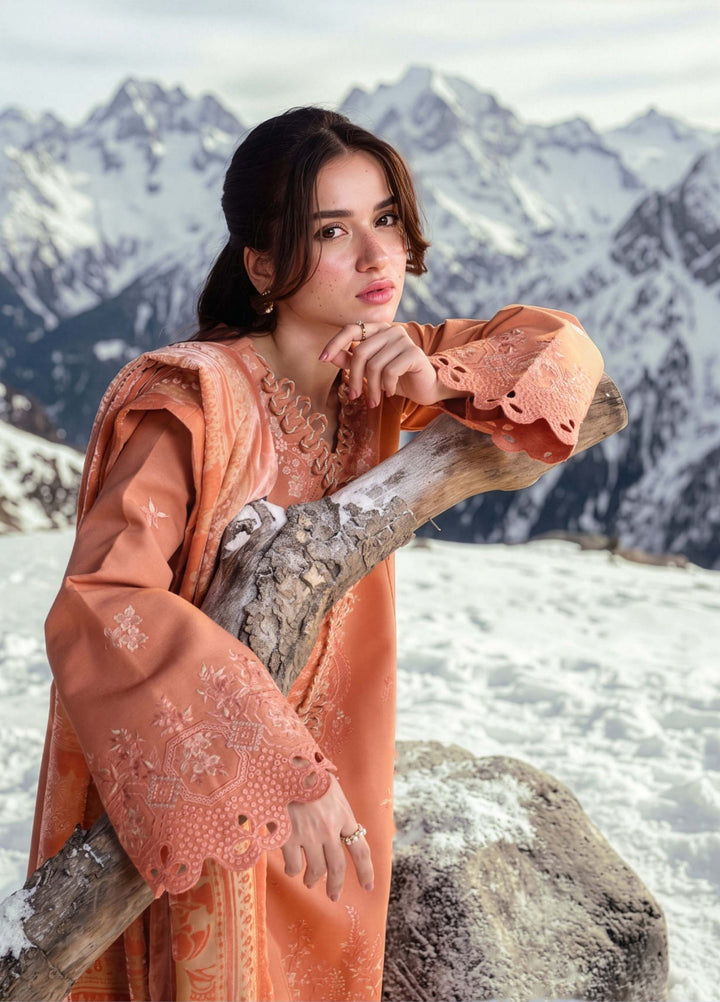 Carnation by Rang Rasiya Unstitched Embroidered Karandi 3 Piece Suit RR26UKW SOLENE - Winter Collection