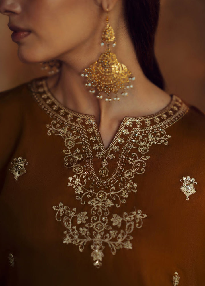 Rekha by Casualite RTW Embroidered Viscose Silk 3 Piece Suit CL26RVR Oraila - Festive Collection
