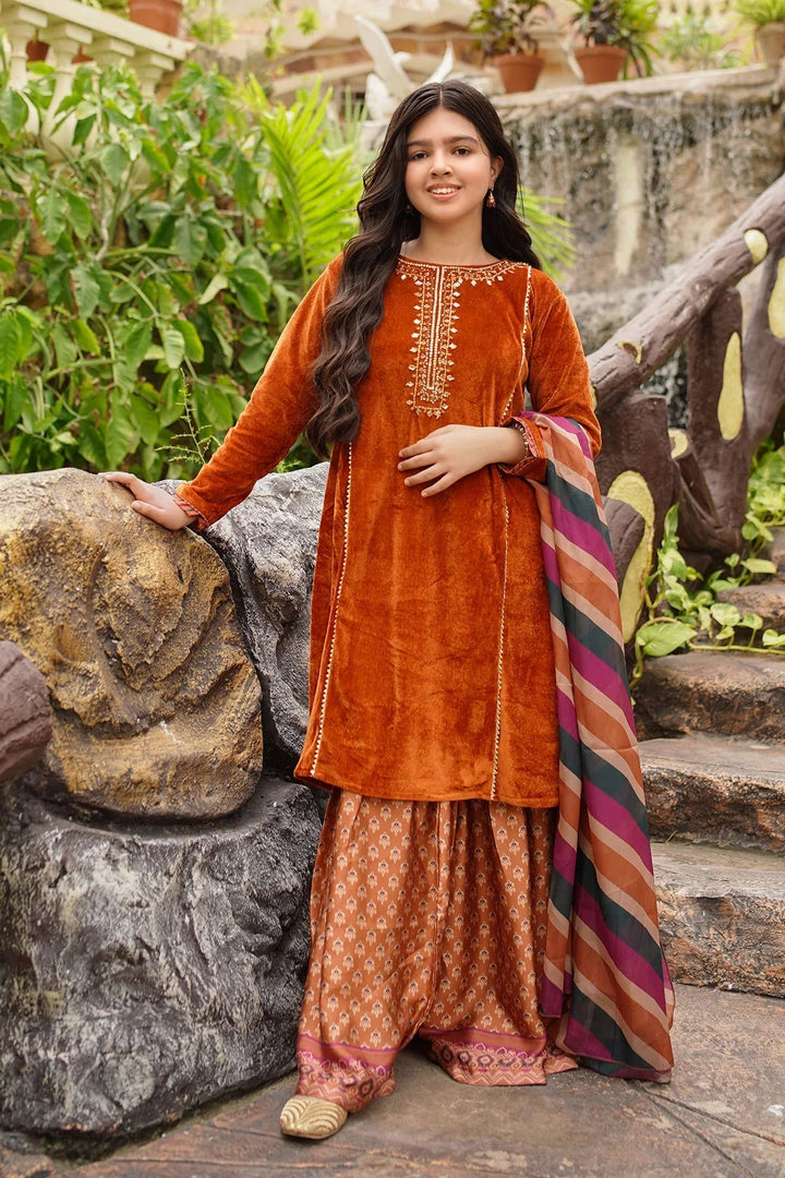 Ochre RTW Embroidered Girls 3 Piece Velvet Hand Adda Work OVF-41 - Winter Collection