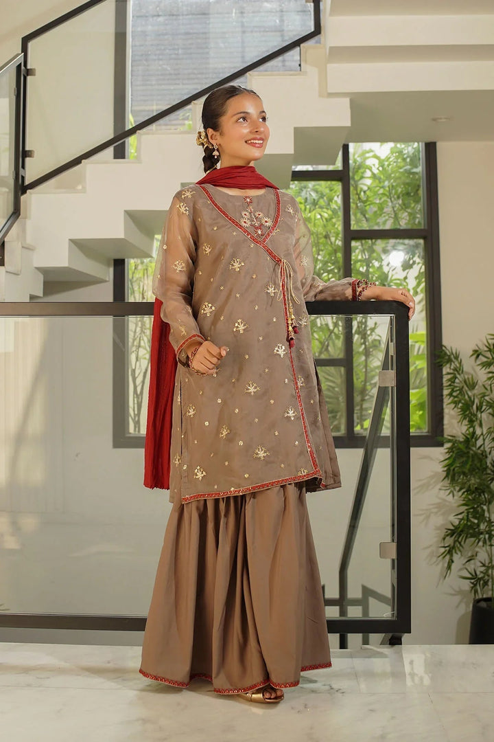 Ochre RTW Embroidered Girls 3 Piece Organza  SHD-13 - Winter Collection