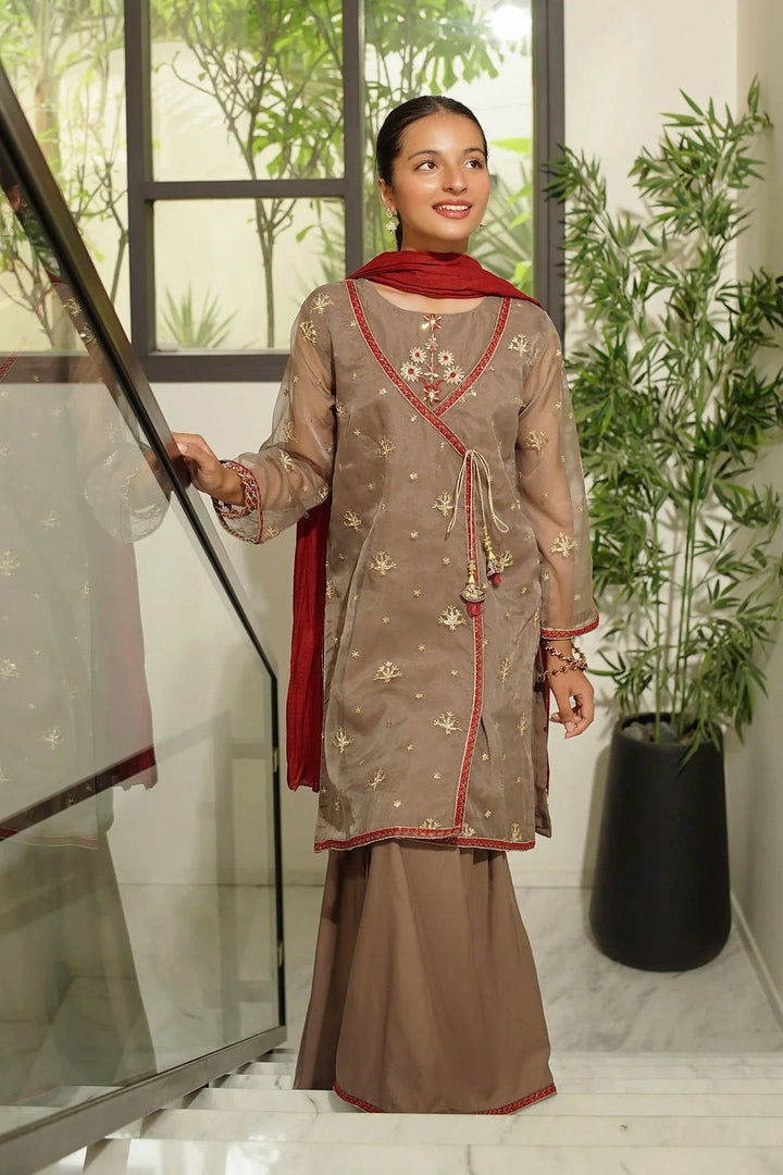 Ochre RTW Embroidered Girls 3 Piece Organza  SHD-13 - Winter Collection