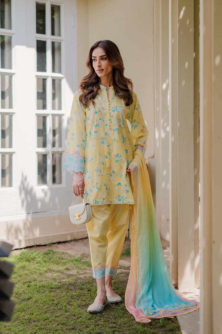 Nura by Sahar RTW Embroidered Cambric Co-Ord Sets Suit Cotton candy Casual Collection