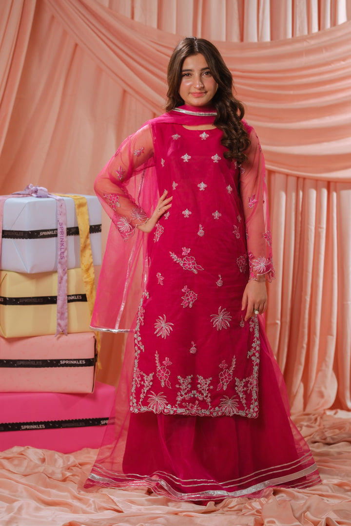 Sprinkles Girls RTW Embroidered Net 3 Piece Suit Candy Rose Festive Collection