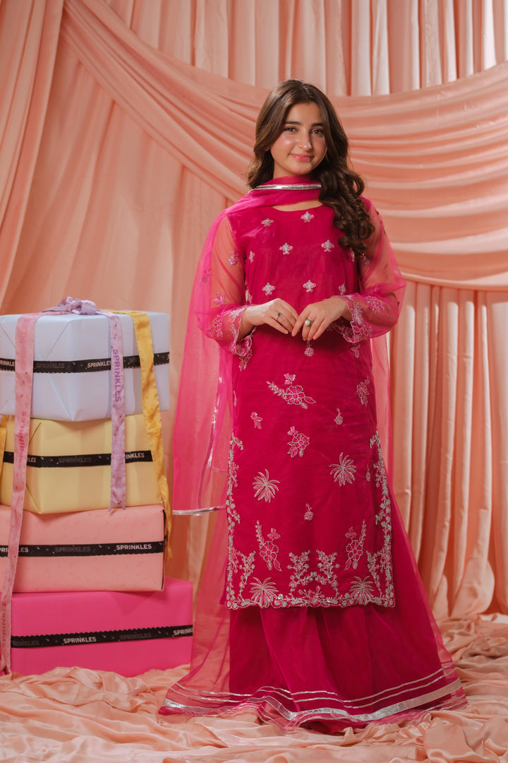 Sprinkles Girls RTW Embroidered Net 3 Piece Suit Candy Rose Festive Collection