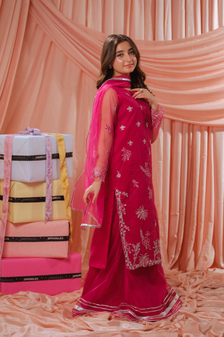Sprinkles Girls RTW Embroidered Net 3 Piece Suit Candy Rose Festive Collection