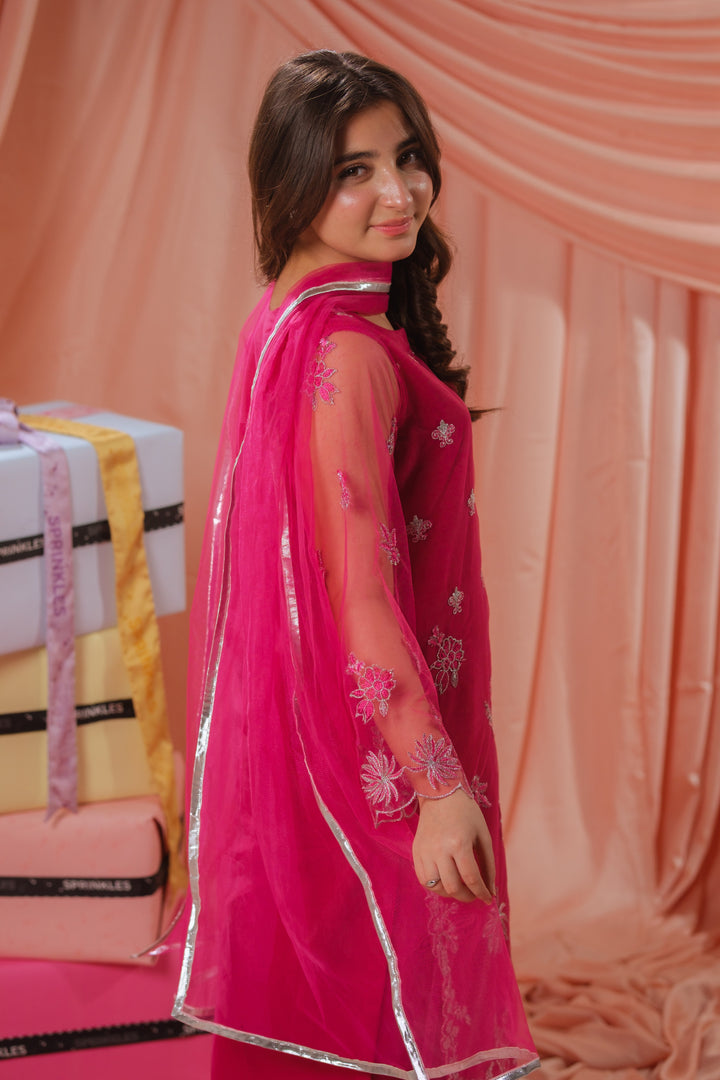 Sprinkles Girls RTW Embroidered Net 3 Piece Suit Candy Rose Festive Collection