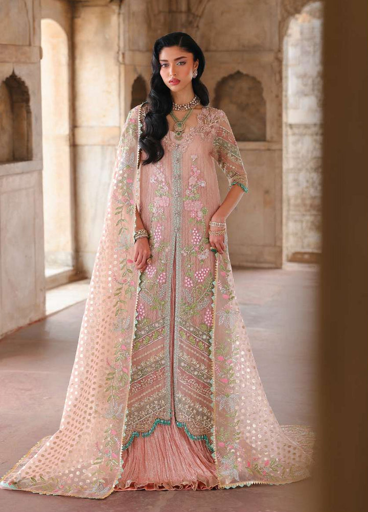 Saira Shakira Unstitched Embroidered Organza 3 Piece Suit SSR26UW Zinnia - Wedding Collection
