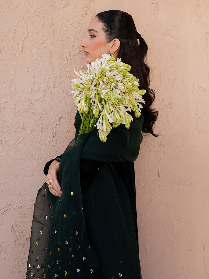 Le Tresor by Izel Pret Embroidered Velvet 3 Piece Suit Solene - Festive Collection