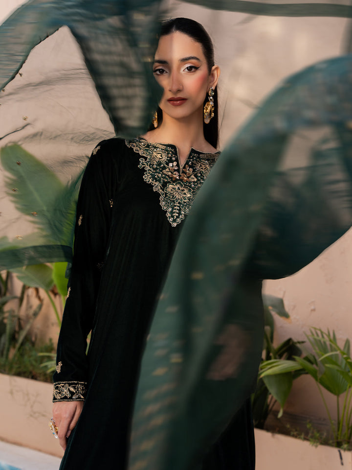 Le Tresor by Izel Pret Embroidered Velvet 3 Piece Suit Solene - Festive Collection