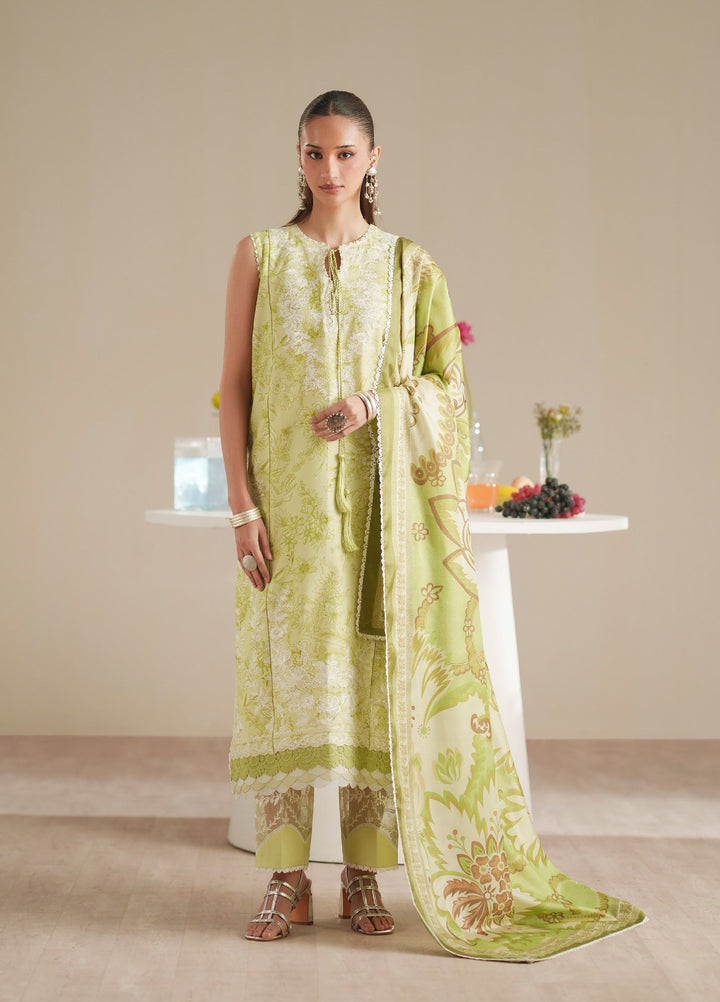 JoJo by Bin Ilyas Unstitched Embroidered Lawn 3 Piece Suit BI26UJJ D-86B - Summer Collection