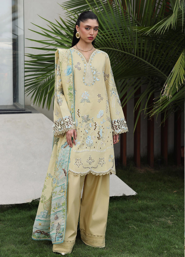 Q Line by Qalamkar Unstitched Embroidered Lawn 3 Piece Suit QLK26ULQ MEIRA QKL-11 - Festive Collection