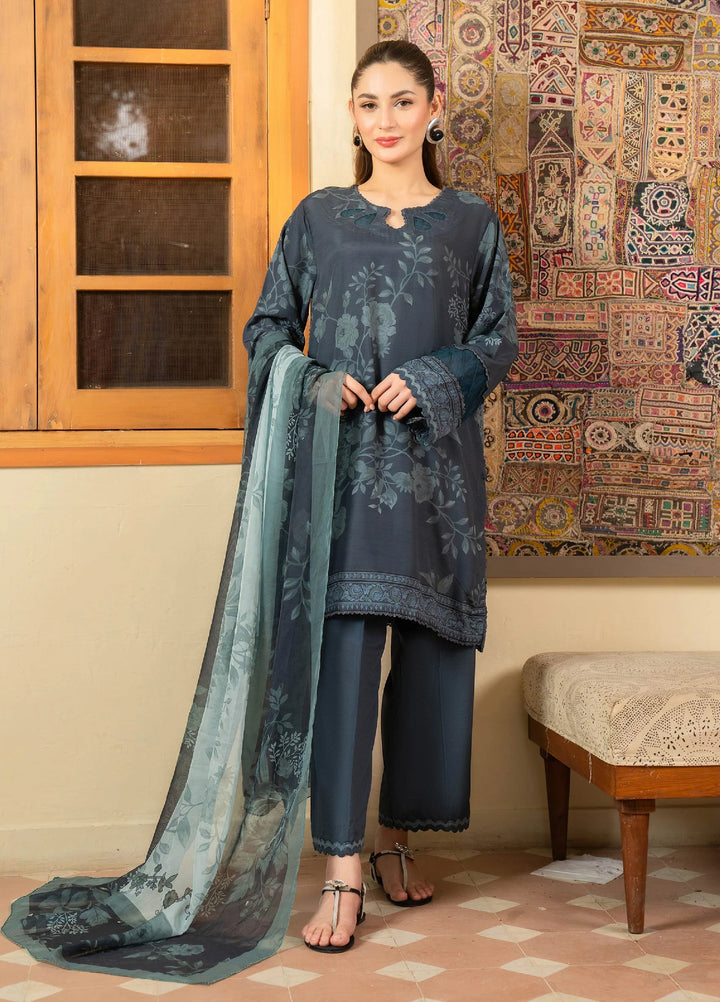 Mah e Noor Intermix by Panache 3 Piece Khaddar Slate - Winter Collection