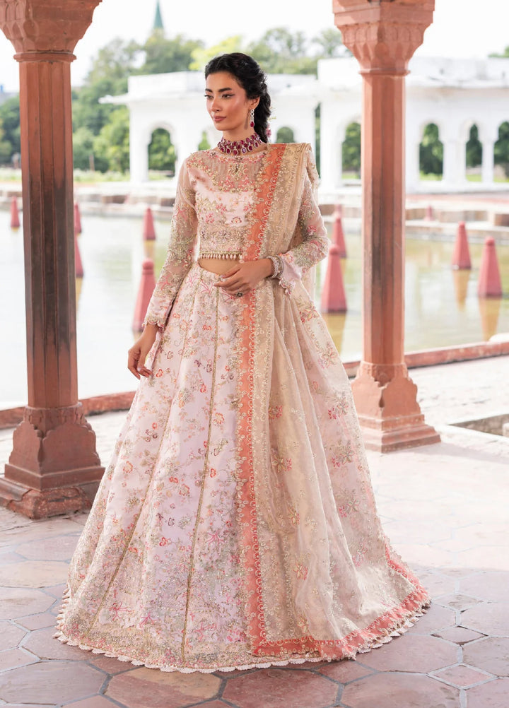 Ember by Aylin Unstitched Organza Embroidered Suits 3 Piece AYL25EF D4-Silk Stone - Festive Collection