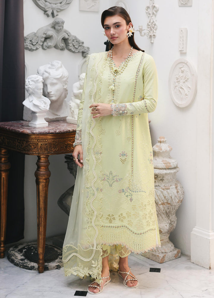 Q Line by Qalamkar Unstitched Chikankari Embroidered Lawn 3 Piece Suit QLK26UQL RP-13 MOONSTONE - Summer Collection