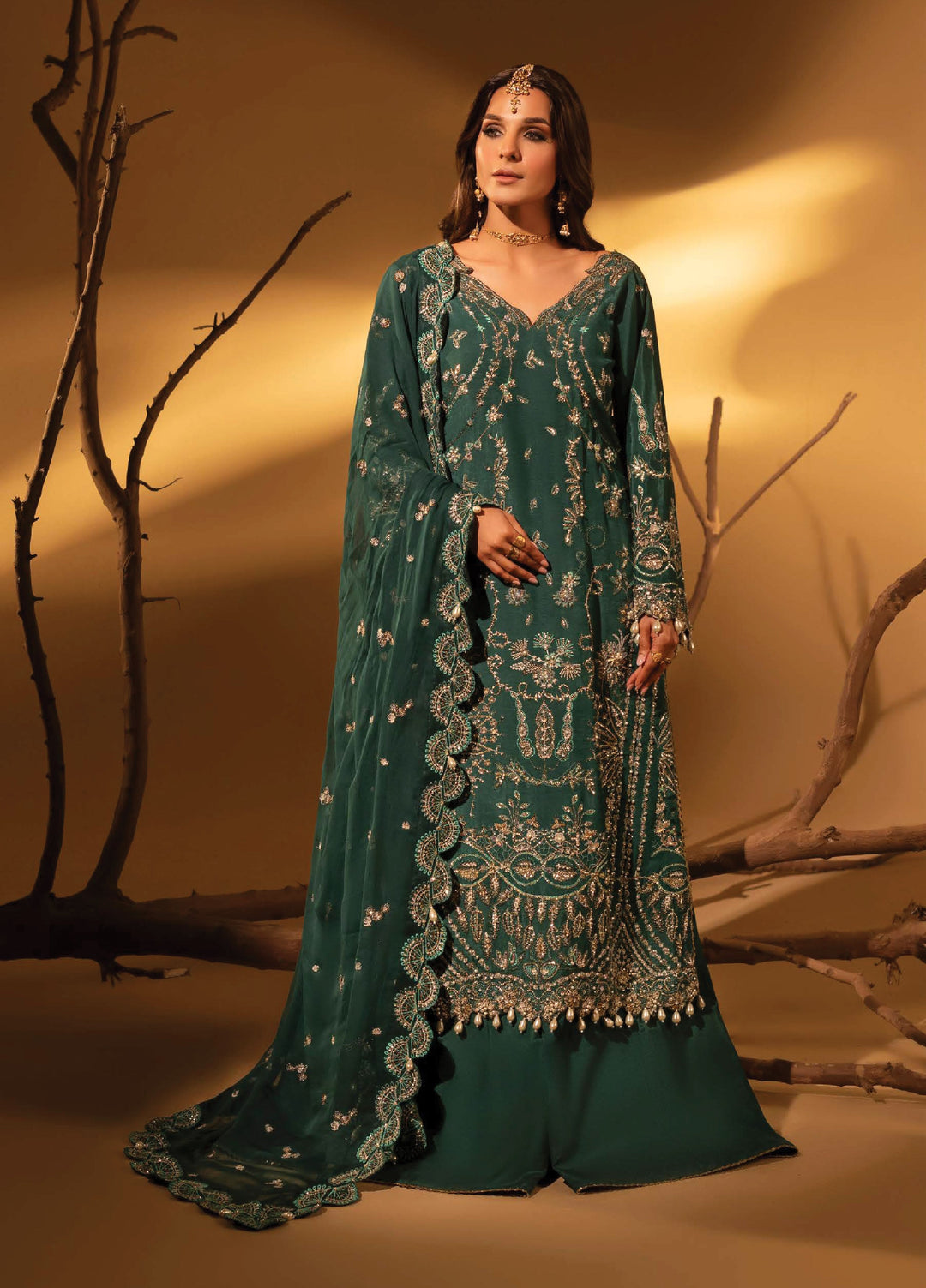 Aylin Unstitched Raw Silk Embroidered Suits 3 Piece AYL25US GREEN SLATE - Festive Collection