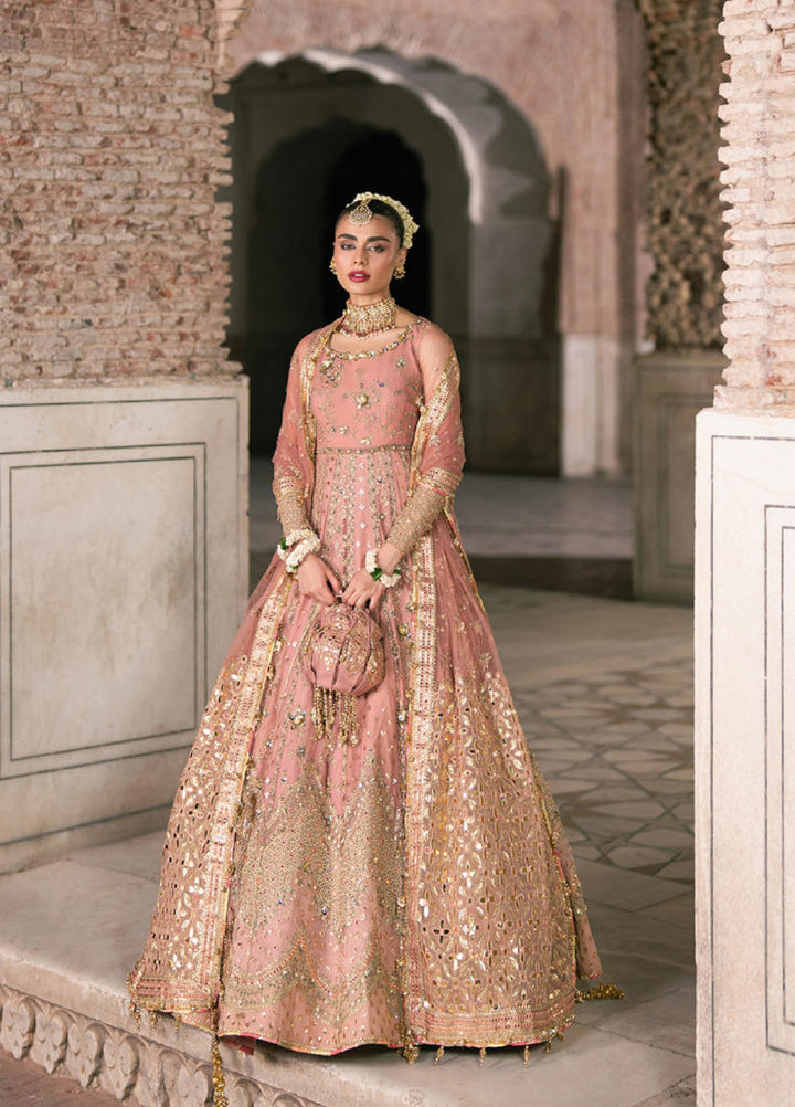 Zarlish Makhfi by Mohsin Naveed Ranjha Unstitched Embroidered Net Suits 3 Piece MNR25ZM Khusboo - Festive Collection