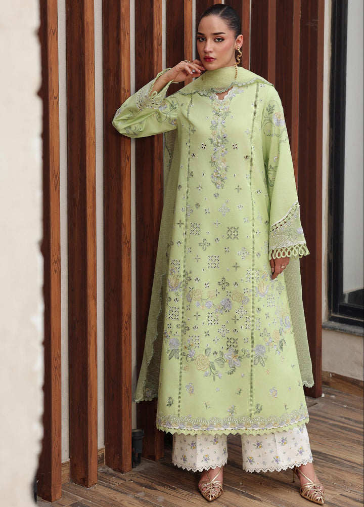 Q Line by Qalamkar Unstitched Embroidered Lawn 3 Piece Suit QLK26ULQ AYANA QKL-5 - Festive Collection