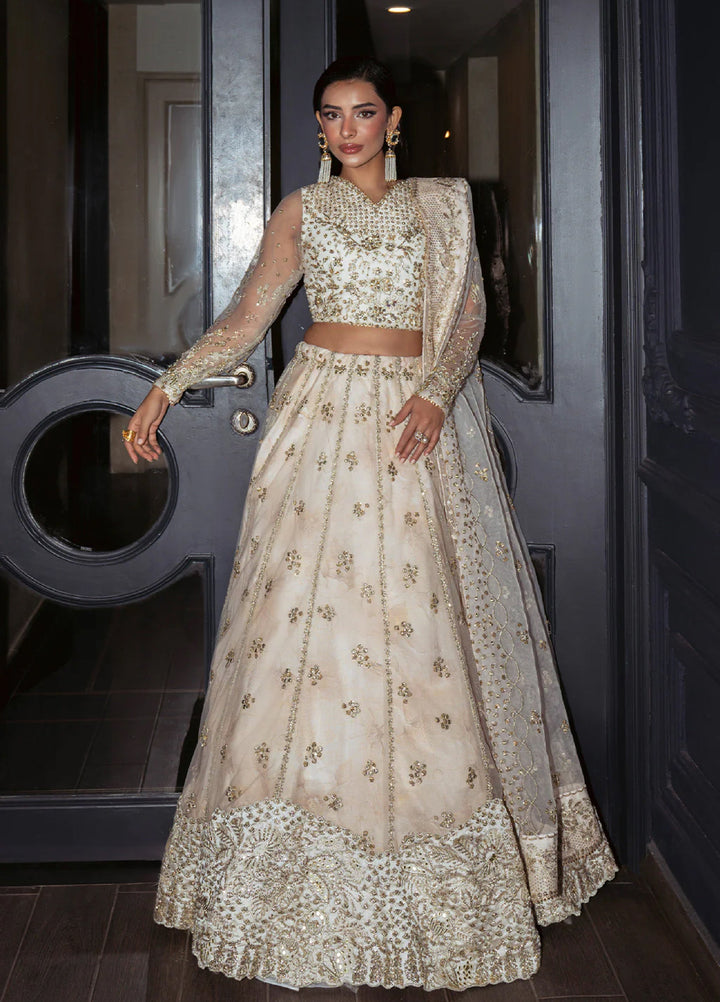 Pari Naaz by Neeshay Embroidered Net Suits Unstitched 4 Piece NSH25PW Nilofer - Formals Collection