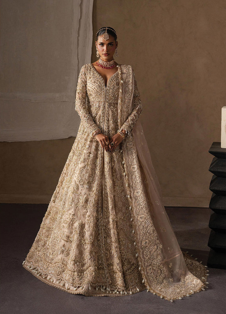 The Brides Edit by Afrozeh Unstitched Embroidered Organza 3 Piece Suit AF26UBE D-01 Catarine - Wedding Collection