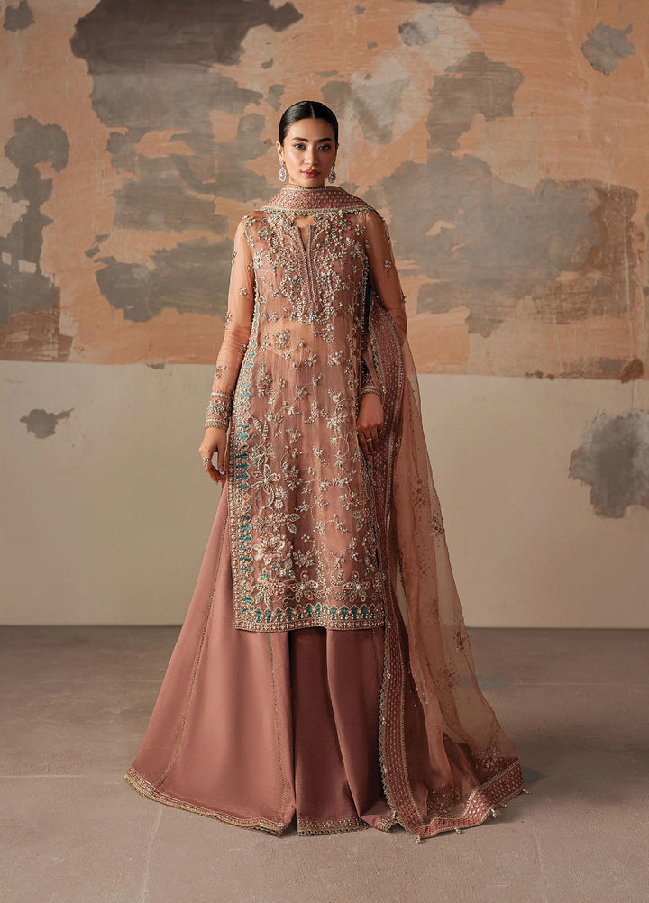 Solaris by Ayzel Unstitched Formals Organza Suits 3 Piece AAF25SW Rosara - Wedding Collection