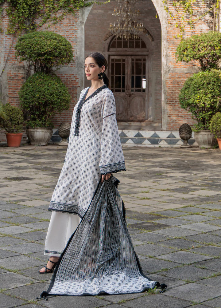 Noir and Blanc by Gul Ahmed Unstitched Printed Lawn 3 Piece Suit GA26UNBL B-62003 - Summer Collection
